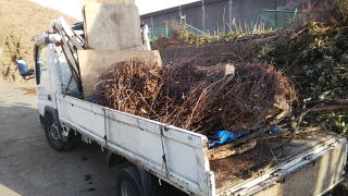 生木の廃棄収集運搬です